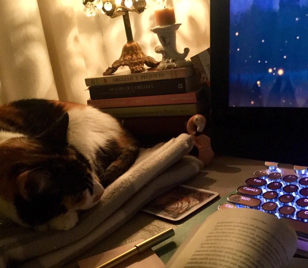 En la imagen aparece Mia durmiendo sobre una manta suave, a la izquierda. Es un gato calico con un collar negro con moñito. A la derecha, aparece un libro, y una parte del teclado y computadora. Al fondo, varios libros y una lámpara. 